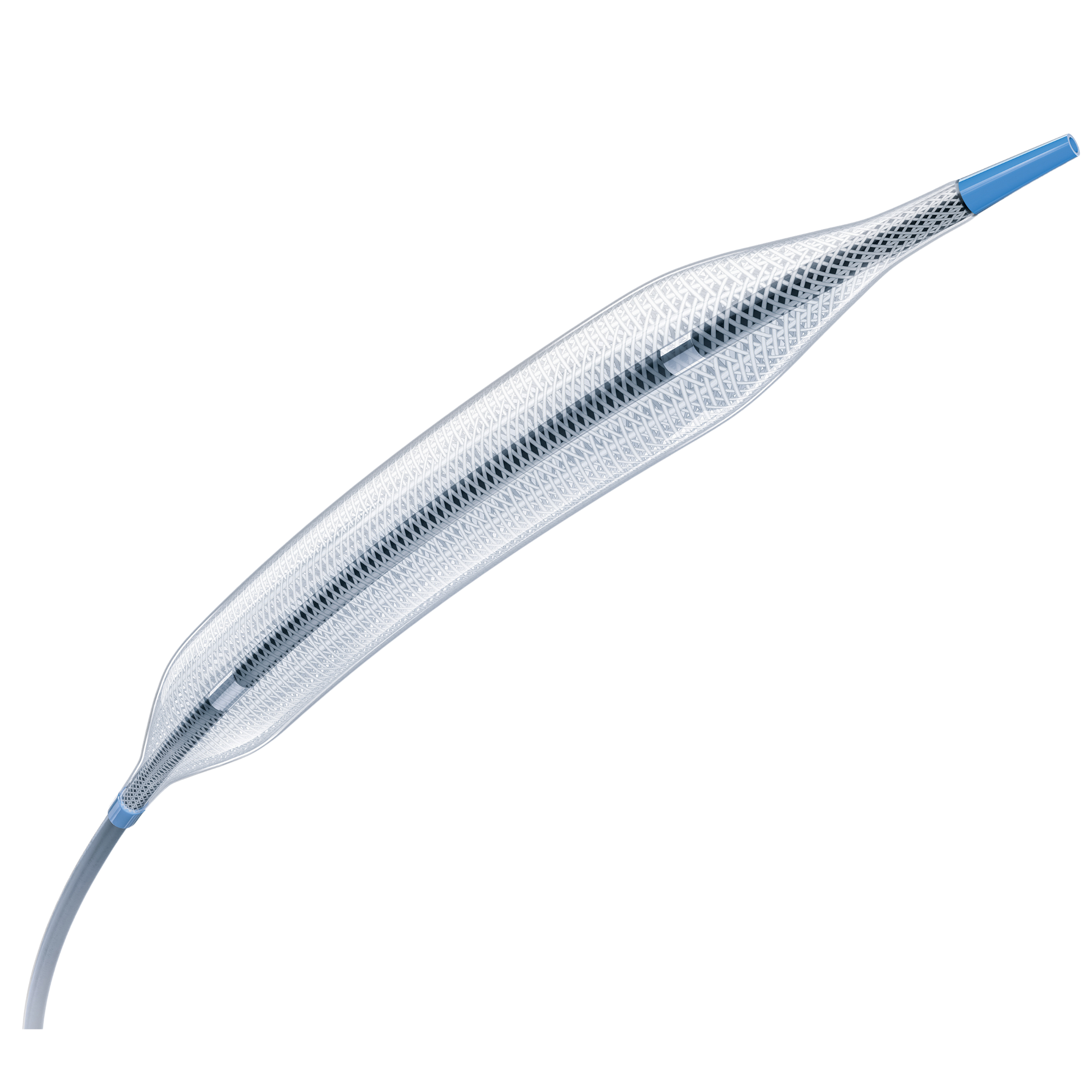 Balloon Catheters